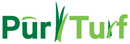 Pūr Turf
